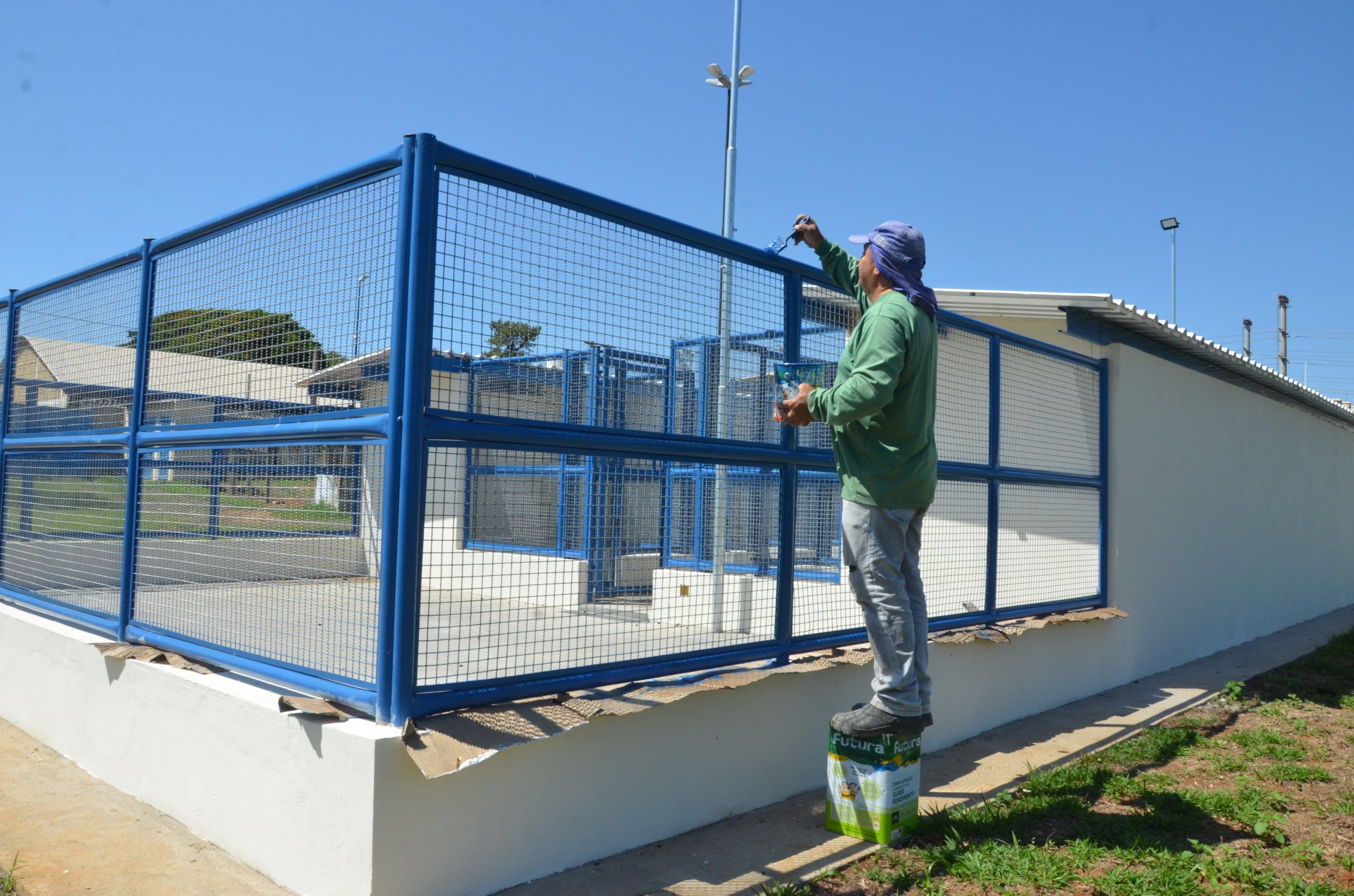Canil obras original