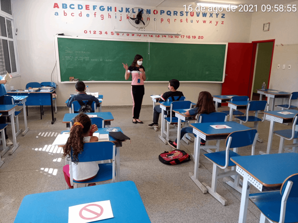 edu ambiental escolas