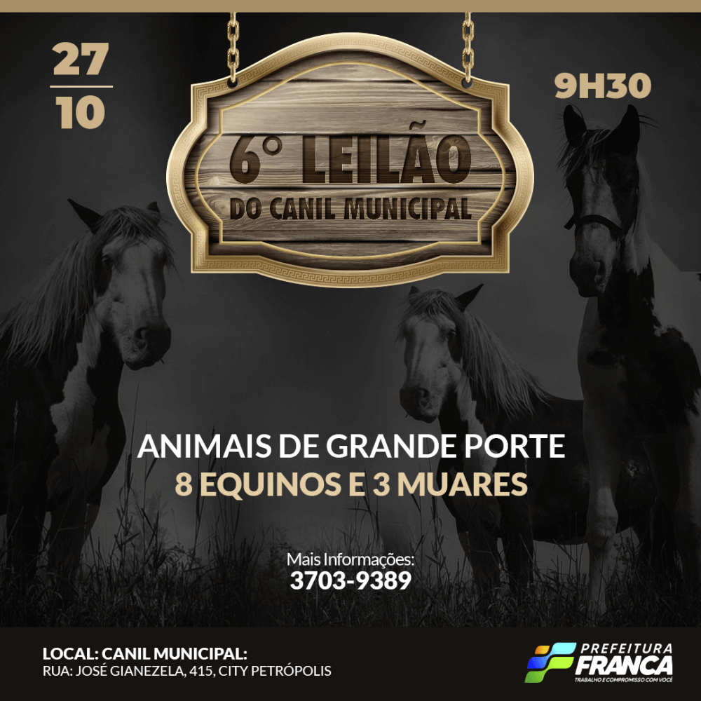 Leilao 27.10