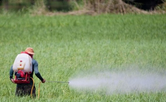 agrotoxicos