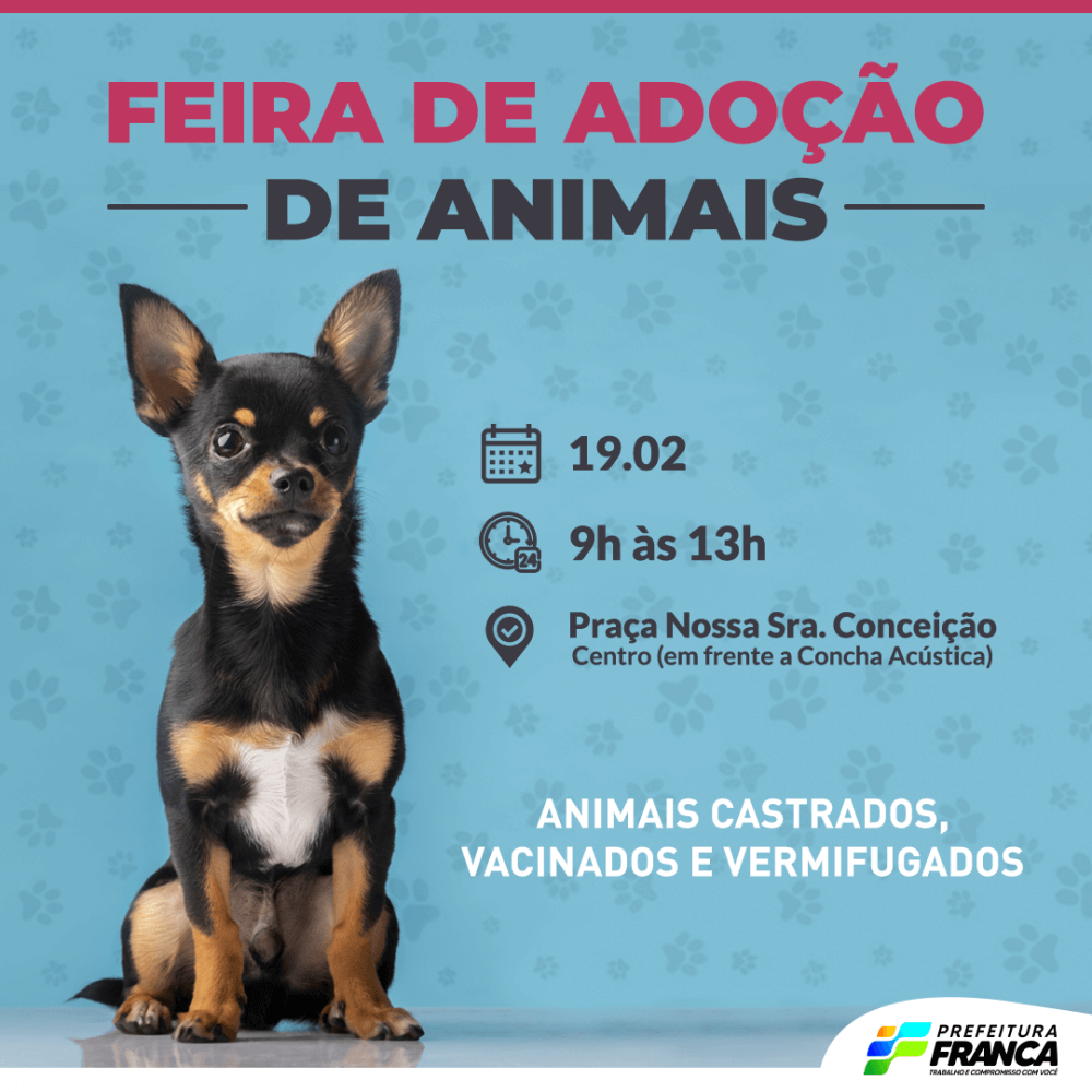 Feira de adocao