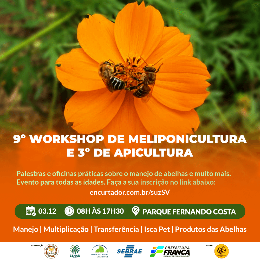 Meliponicultura 2