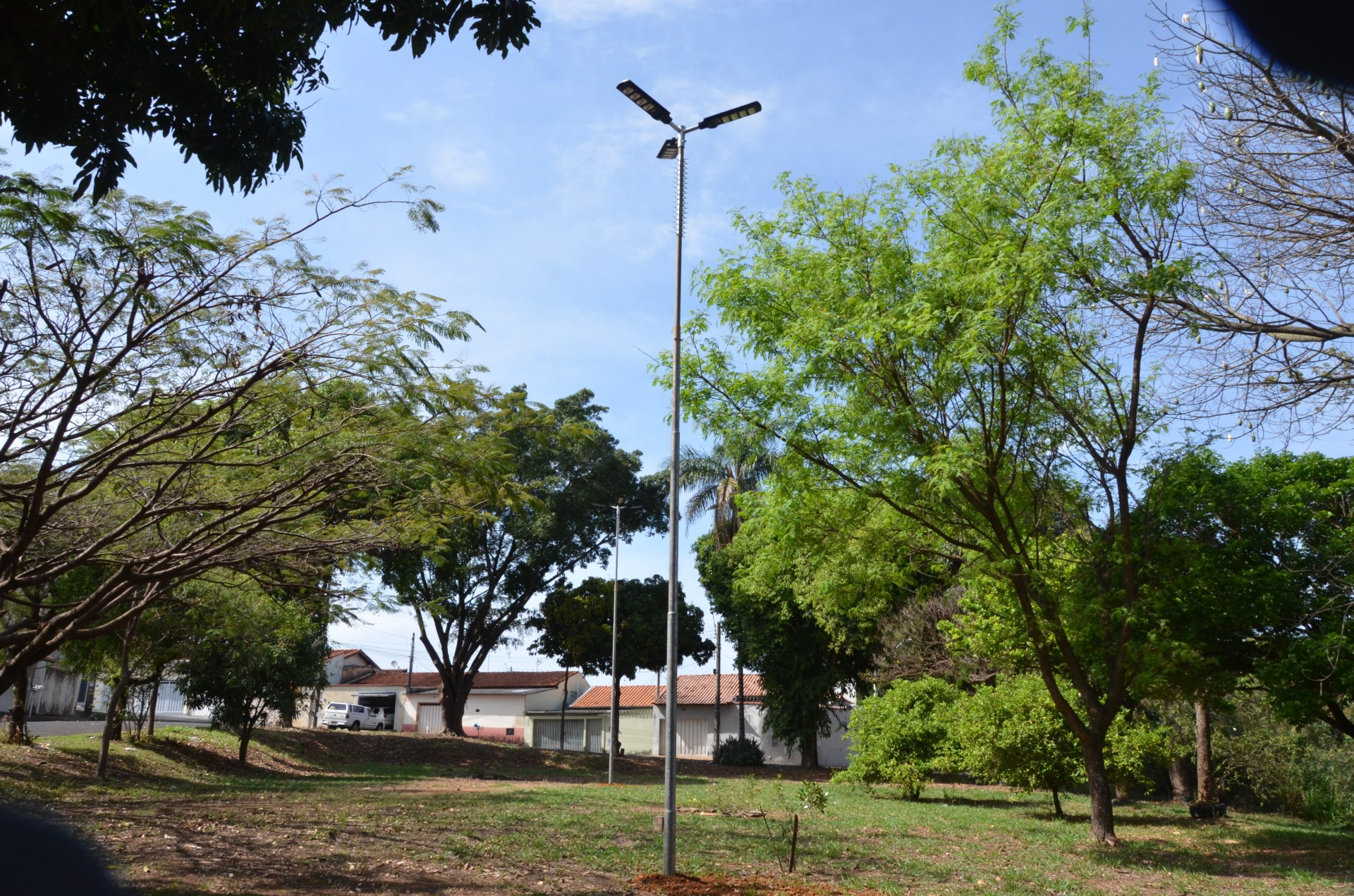 Iluminacao Horto original