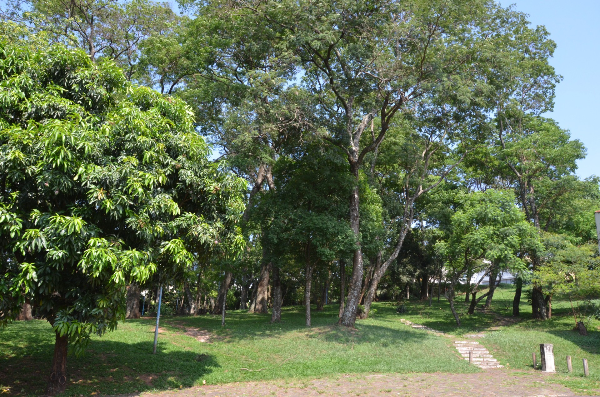 Praca dos Angicos original