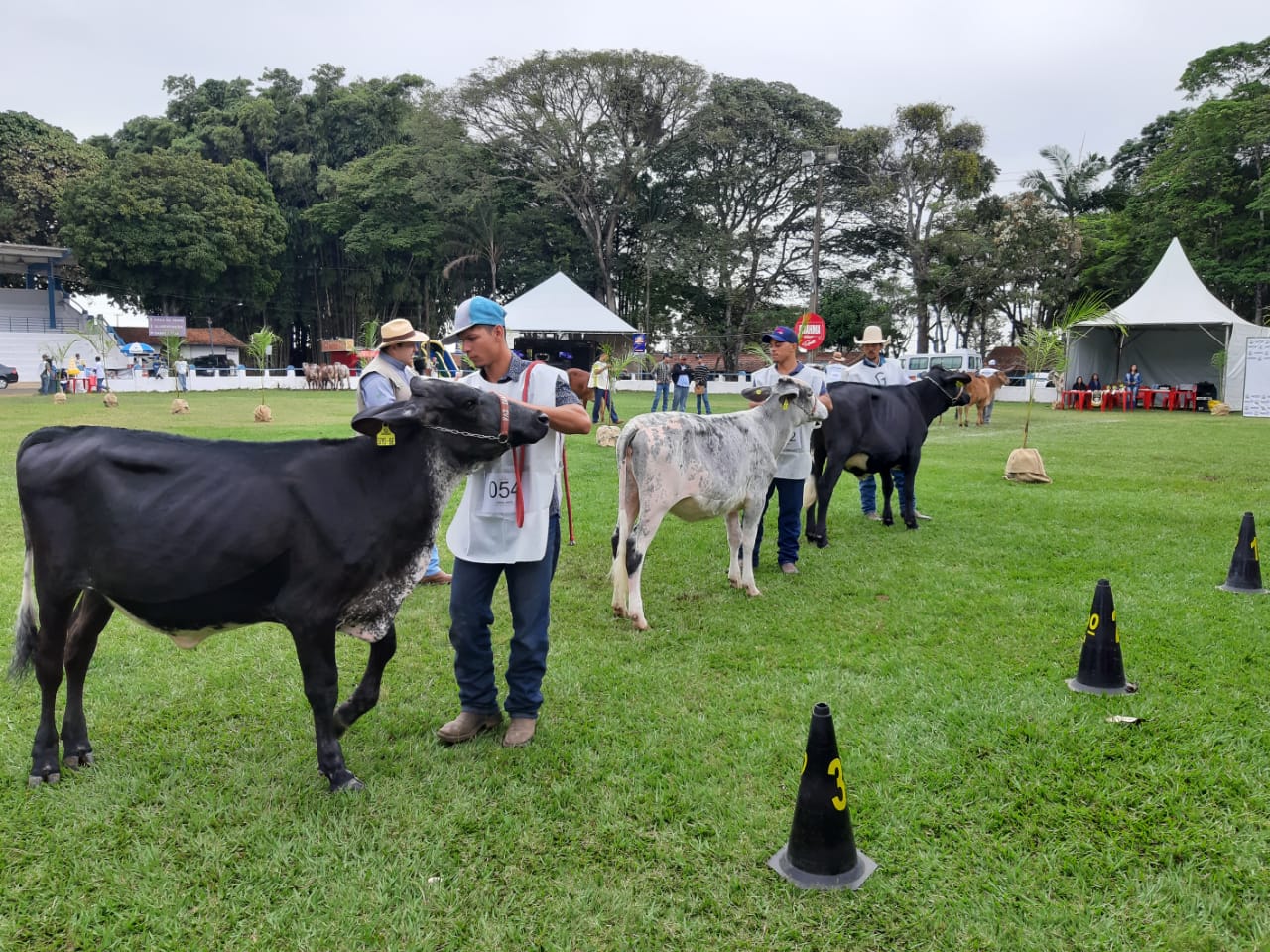 julgamentoexpoagro3