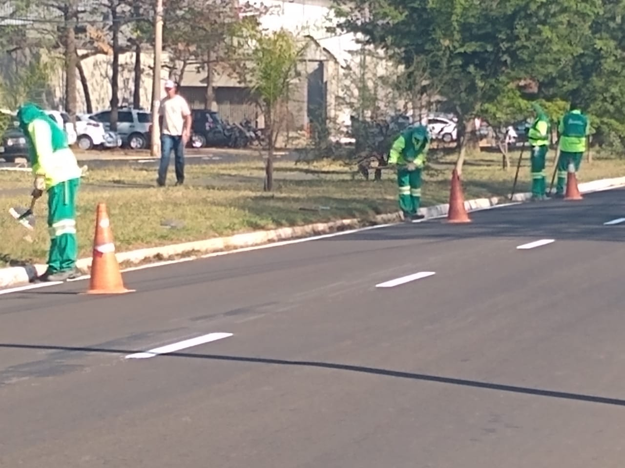 Podas Av. Miguel Sabio 14 8 original